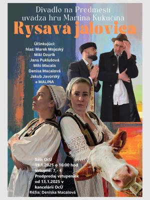 Rysavá jalovica